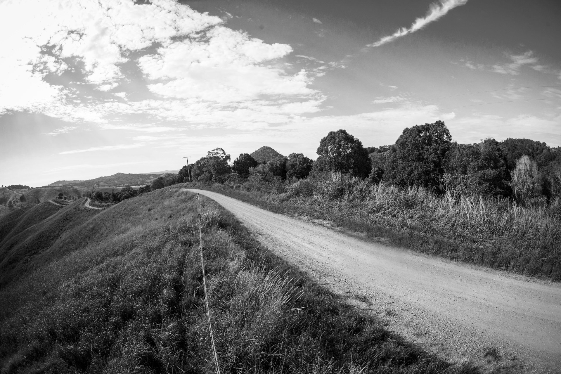 Biking In The Noosa Trail Network Opt Bw