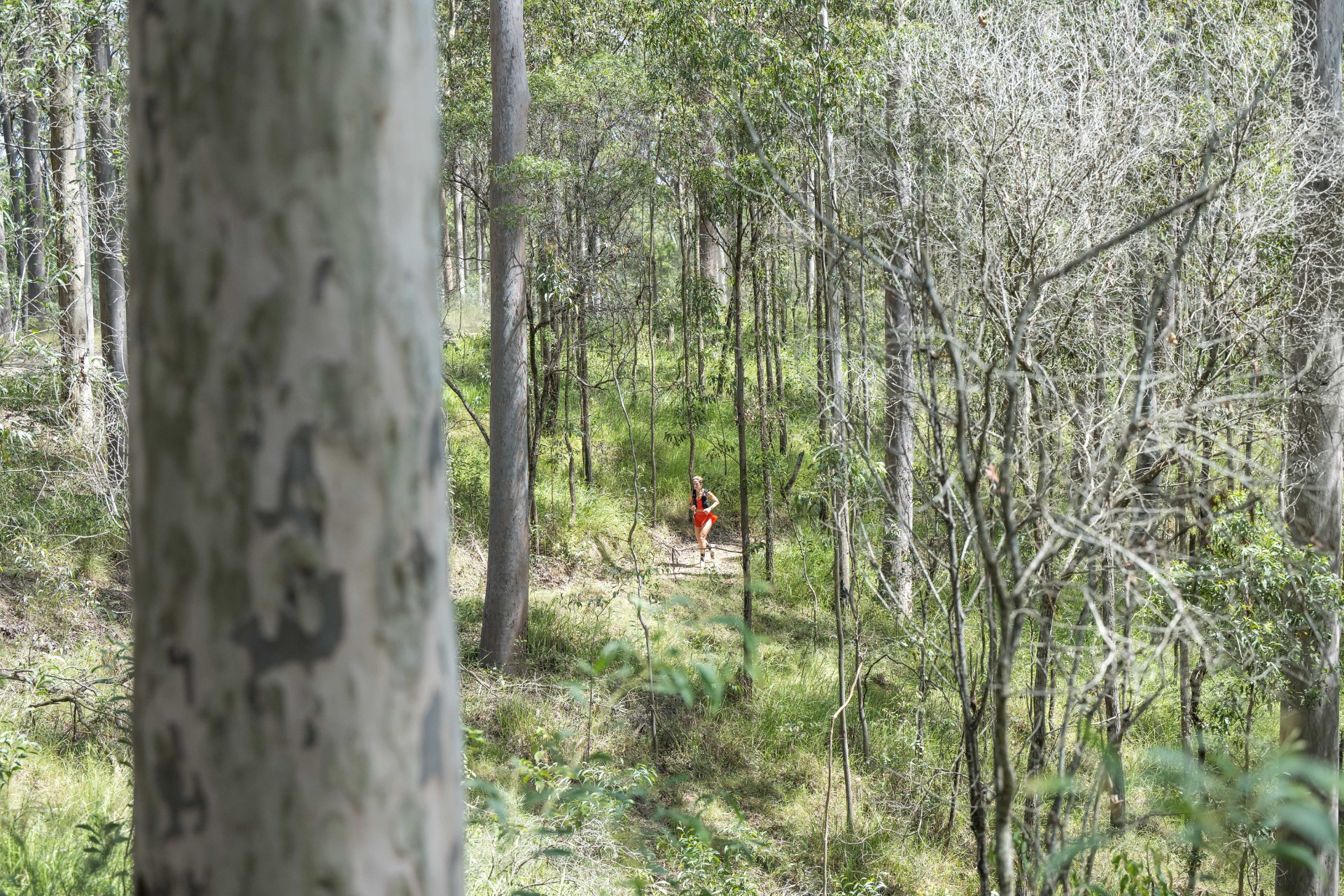 Noosa Ultra Trail 2026 527